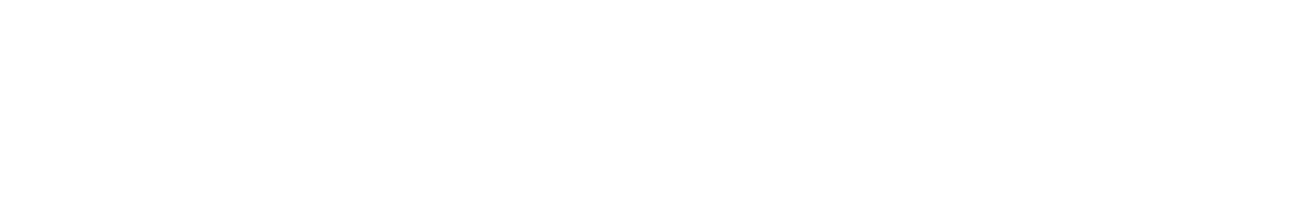 logo light